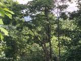 Lot 51 Buck Ridge Drive - Photo 4