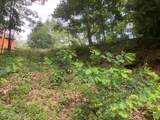 Lot 51 Buck Ridge Drive - Photo 6