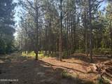 Tbd Jones Spring Church Road - Photo 10