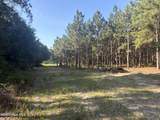 Tbd Jones Spring Church Road - Photo 11