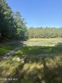 Tbd Jones Spring Church Road - Photo 2