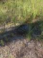 Tbd Jones Spring Church Road - Photo 20