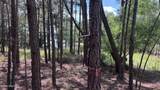 449 Longleaf Drive - Photo 8
