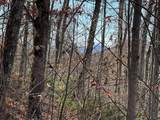 Lots Ash Branch View - Photo 1