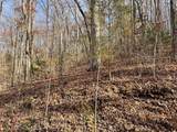 Lots Ash Branch View - Photo 3