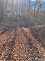 Lots Ash Branch View - Photo 7
