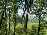 Lot 43 Silo View - Photo 5