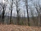 TBD Chimney Top Trail - Photo 10