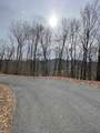 TBD Chimney Top Trail - Photo 14