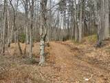 TBD Chimney Top Trail - Photo 18