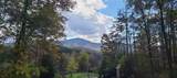 TBD Chimney Top Trail - Photo 19