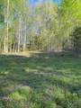 TBD Chimney Top Trail - Photo 22