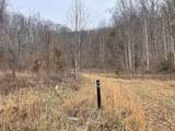 TBD Chimney Top Trail - Photo 6