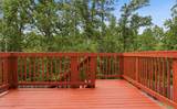 1226 Sambar Circle - Photo 41