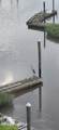 4413 Eastport Boulevard - Photo 45