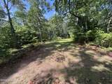 5 Majestic Mountain Trail - Photo 6