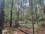 Lot 2 Dogwood Lane - Photo 2