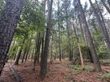 Lot 2 Dogwood Lane - Photo 3