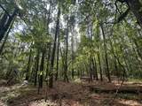 Lot 2 Dogwood Lane - Photo 4