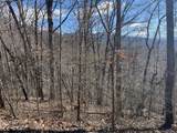 Lot 37C Ash Branch Circle - Photo 4