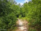 3529 Evangeline Drive - Photo 7