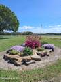 203 Mill Road - Photo 6
