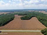 Tbd Pleasant Hope Road - Photo 10
