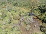 Tbd Pleasant Hope Road - Photo 12