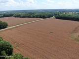 Tbd Pleasant Hope Road - Photo 13