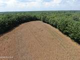 Tbd Pleasant Hope Road - Photo 15