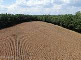 Tbd Pleasant Hope Road - Photo 17