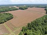 Tbd Pleasant Hope Road - Photo 18