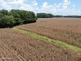 Tbd Pleasant Hope Road - Photo 21