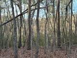 Lot #118 Royal View Landing - Photo 10