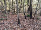 Lot #118 Royal View Landing - Photo 12