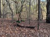 Lot #118 Royal View Landing - Photo 13