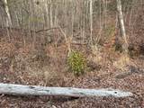 Lot #118 Royal View Landing - Photo 16