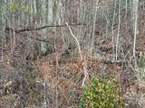 Lot #118 Royal View Landing - Photo 17