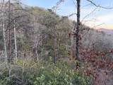 Lot #118 Royal View Landing - Photo 22