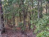 Lot #118 Royal View Landing - Photo 3