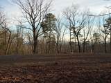 Lot #118 Royal View Landing - Photo 4