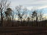 Lot #118 Royal View Landing - Photo 5