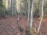 Lot #118 Royal View Landing - Photo 6
