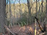 Lot #118 Royal View Landing - Photo 7