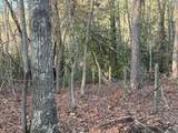 Lot #118 Royal View Landing - Photo 8