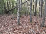 Lot #118 Royal View Landing - Photo 9