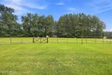 74 Blue Sky Lane - Photo 47