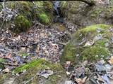 Lot 2 Ivy Log Road - Photo 12