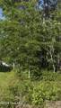 57 Pinewood Drive - Photo 11