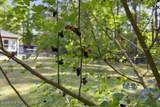159 Big Macedonia Road - Photo 124